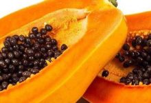 Photo of UNBELIEVABLE HEALTH BENEFITS OF PAWPAW SEED