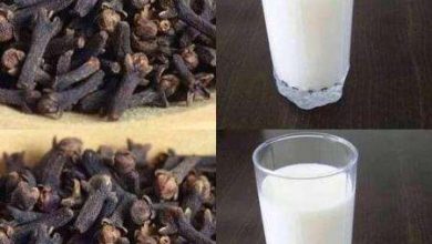 Photo of SURPRISING HEALTH BENEFITS OF FRESH MILK AND CLOVE