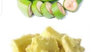 Photo of SECRETS OF PLANTAIN PEELS AND SHEA BUTTER