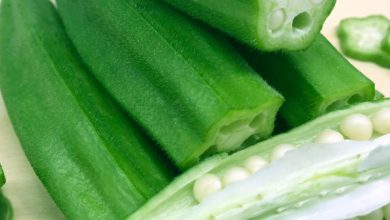 Photo of BENEFITS OF OKRA FOR YOUR SKIN, HAIR AND HEALTH