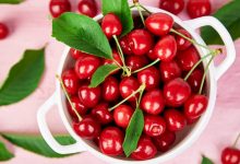 Photo of 6 Medicinal Benefits of Cherries