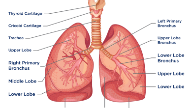 Photo of 11 THINGS THAT HURT YOUR HEART YOU DIDN’T KNOW