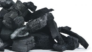 Photo of SECRET USES OF CHARCOAL