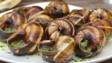 Photo of 6 HEALTH BENEFITS OF EATING SNAIL