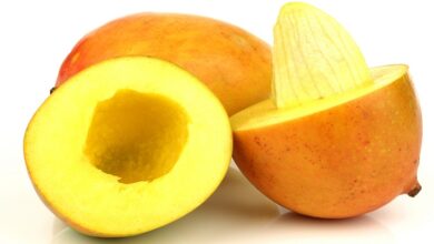 Photo of 12 Benefits Of Mango Seeds For Skin, Hair And Health