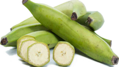 Photo of UNRIPE PLANTAIN AS REMEDY FOR EPILEPSY