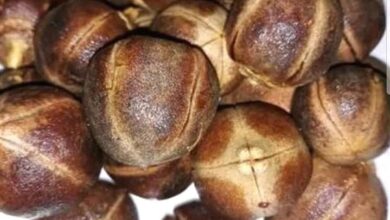 Photo of USE GORON TULA TO MAKE THE VAGINA WALLS CLEAN, WET AND ODOUR FREE