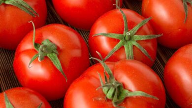 Photo of EAT MORE TOMATO TO BOOST FERTILITY