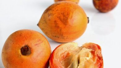 Photo of AFRICAN STAR APPLE HEALTH BENEFITS