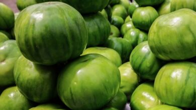 Photo of GARDEN EGG AND IT’S INCREDIBLE HEALTH BENEFITS