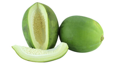 Photo of UNRIPE PAWPAW BEST TREATMENT FOR ULCER