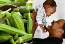Photo of NATURAL REMEDY FOR TWIN WITH OKRA