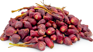 Photo of ONION DAYAK EFFECTIVE IN TREATING VARIOUS DISEASE