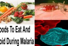 Photo of FOODS TO EAT AND FOODS AVOID WHILE TREATING MALARIA