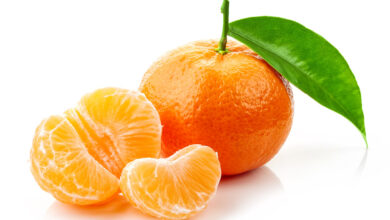 Photo of BENEFITS OF TANGERINE TO THE BODY