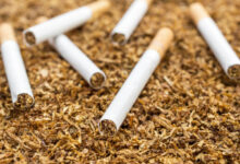 Photo of NEGATIVE EFFECTS OF TOBACCO TO YOUR HEALTH