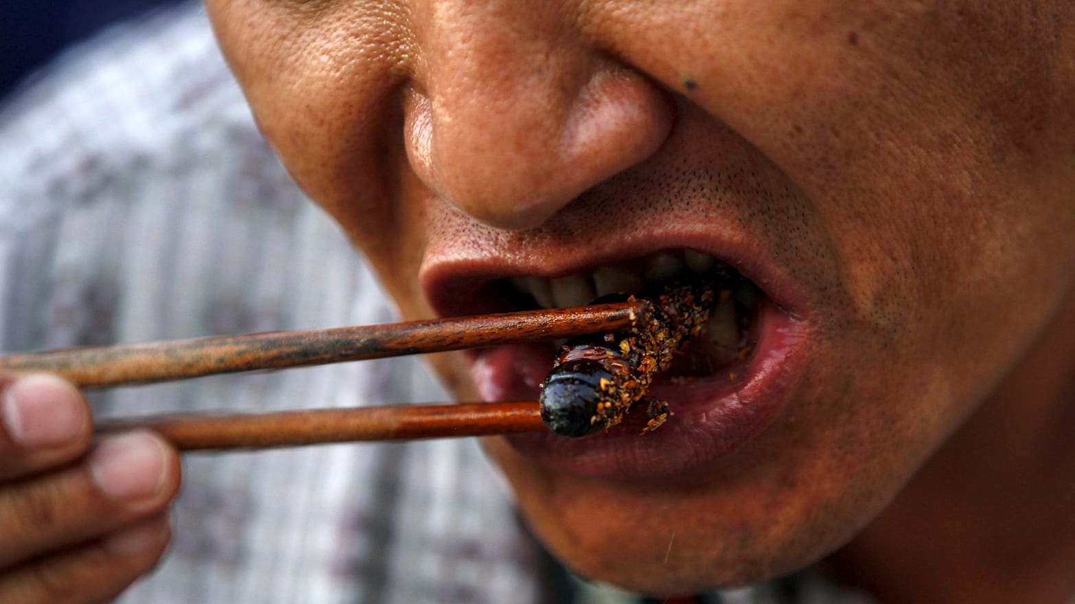 Photo of Reasons why you should eat insects