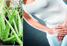 Photo of STOPPING FREQUENT URINATING WITH ALOE VERA