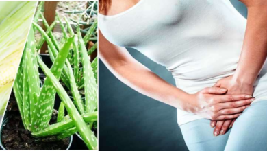 Photo of STOPPING FREQUENT URINATING WITH ALOE VERA