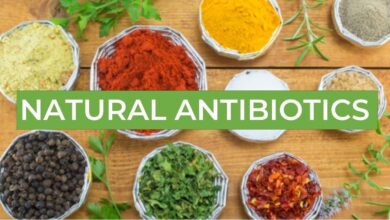Photo of Natural Antibiotics for Infections That Are Good For Your Health