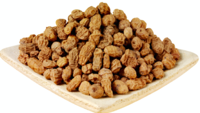 Photo of 15 HEALTHY POWERS OF TIGER NUTS