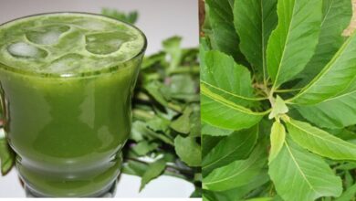 Photo of HIDDEN MEDICINAL BENEFITS OF BITTER LEAF