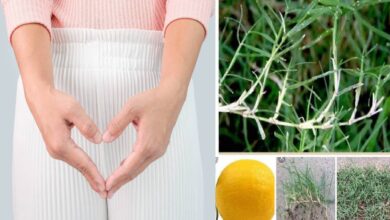 Photo of TREATMENT FOR SYPHILIS AND VAGINAL DISCHARGE