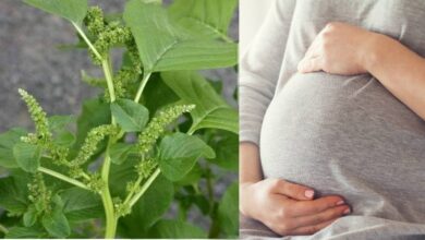 Photo of WAYS TO PREVENT MISCARRIAGE WITH THIS NATUALLY