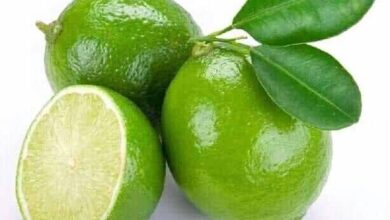 Photo of PINEAPPLE AND LEMON JUICE RECIPE FOR MISSED PERIOD