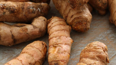 Photo of EFFECTIVE REMEDY FOR STAPHYLOCOCCUS AUREUS