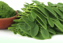 Photo of HOW TO USE MORINGA LEAVES FOR BEAUTIFUL AND BETTER SKIN COLOR