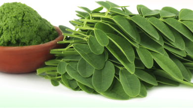 Photo of HOW TO USE MORINGA LEAVES FOR BEAUTIFUL AND BETTER SKIN COLOR