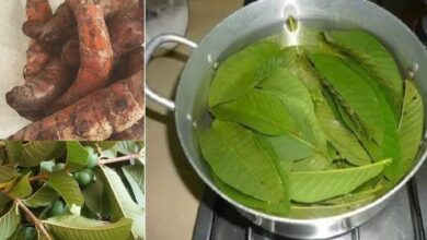 Photo of ALTERNATIVE METHOD TO ERADICATE DIABETES