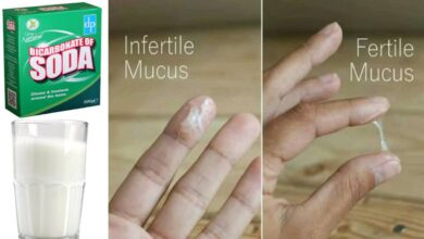 Photo of METHOD TO BOOST OVULATION AND FERTILITY OVER-NIGHT