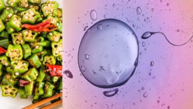 Photo of BEST FOOD TO BOOST YOUR OVULATION