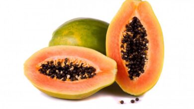 Photo of AMAZING BENEFITS YOU NEVER KNEW ABOUT PAWPAW SEED