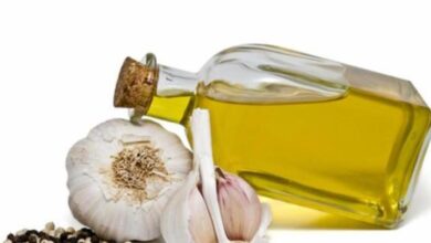 Photo of POWERFUL ANTIBIOTICS OF GARLIC IN OLIVE OIL