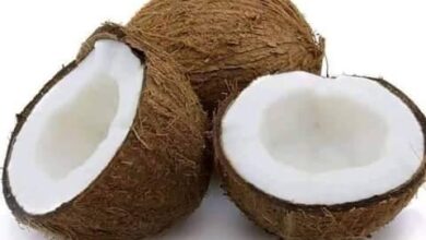 Photo of NATURAL COCONUT REMEDY FOR STOMACH ULCER