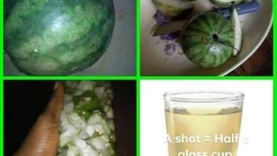 Photo of HOW TO UNBLOCK FALLOPIAN TUBES NATURALLY