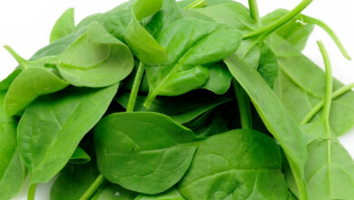 Photo of HEALTH BENEFITS AND SIDE EFFECTS OF SPINACH(MUST READ)