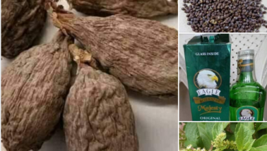 Photo of EFFECTIVE NATURAL TREATMENT FOR STROKE