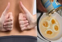 Photo of PAP AND EGG FOR BODY-SHAPE TRANSFORMATION