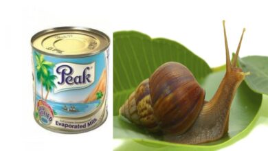 Photo of NATURAL STROCK REMEDY EVERYONE MUST KNOW