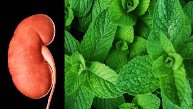 Photo of HOW TO CLEAN KIDNEYS WITHOUT SIDE EFFECTS