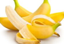 Photo of BANANA AND INTERESTING FACTS ABOUT IT