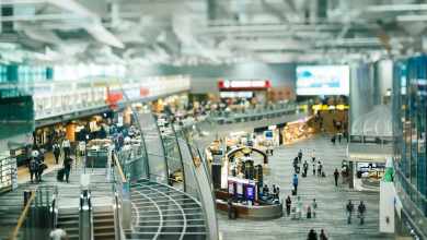 Photo of The advantages of our Fast Pass VIP arrival airport service