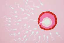 Photo of Are Infertility Rates On The Rise?