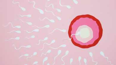 Photo of Are Infertility Rates On The Rise?