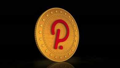 Photo of EVERYTHING YOU NEED TO KNOW ABOUT POLKADOT