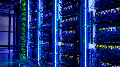 Photo of Where does the best offshore hosting dwell?